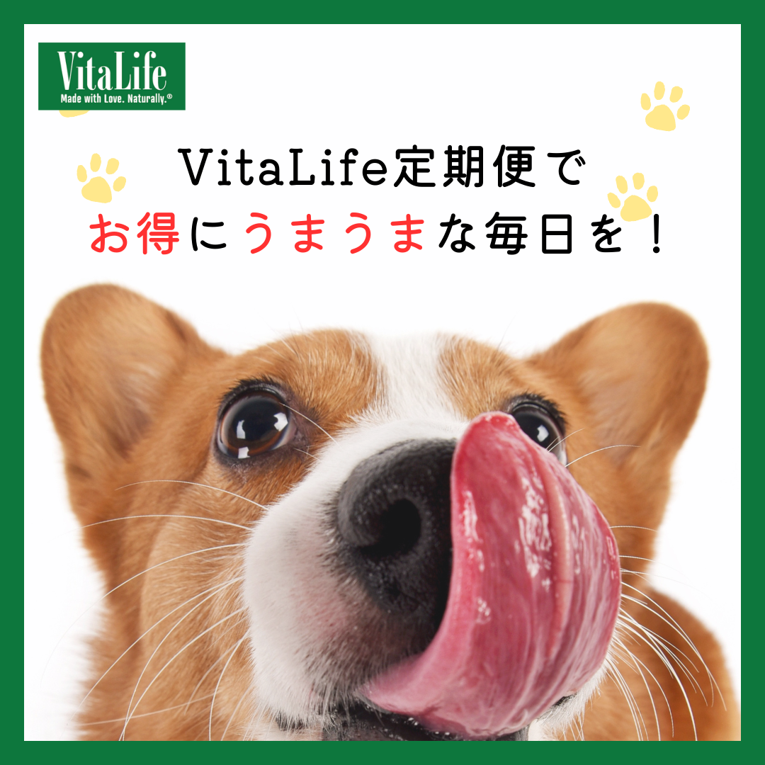 チキンテンダー