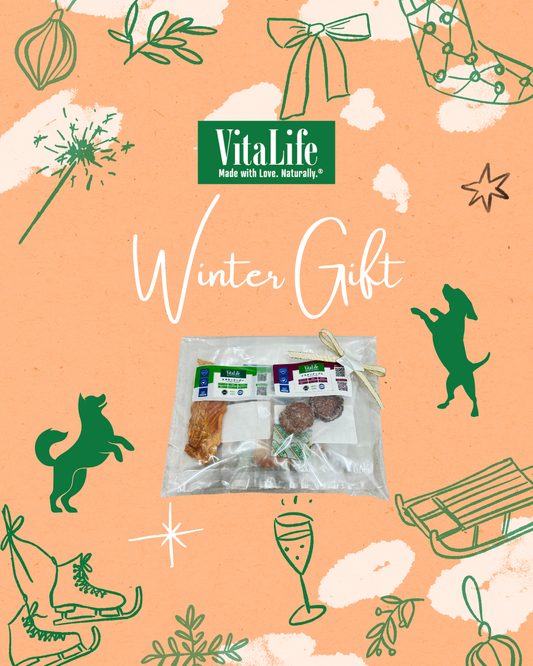 【冬限定】VitaLife5種類ギフト【1月12日まで】